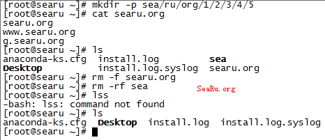 Linux网络服务一些基础配置